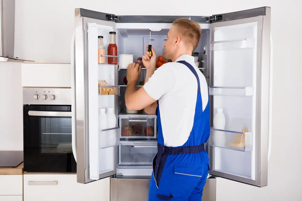 freezer freezer
